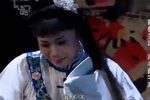 蝴蝶梦劈棺 选段