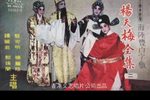 杨天梅庵遇相认