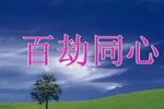 百劫同心 全集