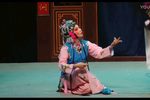 春草闯堂抬轿/郑文豹听镜卦/杀狗记迎春牵狗