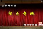 贤贞奇缘 全集