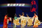 魂断鳌头 全集下载