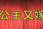 公主又嫁 全集下载