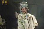 春风奇缘