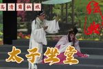 太子坐堂 全集下载