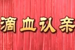 滴血认亲 全集