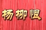 杨柳恨 全集下载