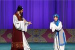 芦林会下载