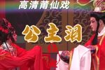 公主泪 全集