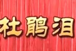杜鹃泪 全集下载