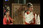 春花秋月