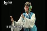 白兔记 全集下载