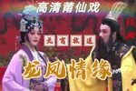 龙凤情缘 全集