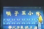 鸭子丑小传 全集下载