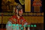 春草闯堂 全集下载