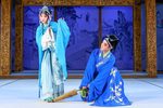踏伞行 全集下载