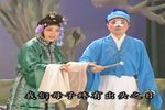 狸猫换太子之国太还朝 全集