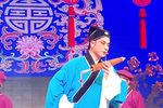 珍珠塔 全集