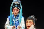三搜幻化庵 下集下载