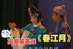 春江月 全集下载