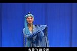 井台会下载