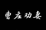 曹庄劝妻 二下载