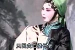 足如灌铅步难举 选段