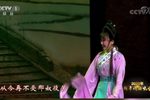 槐荫记 选段下载