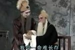 可怜赵氏贤孝媳 选段