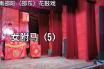 女驸马 5下载