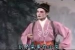剡子采果在山岗 选段