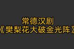 樊梨花大破金光阵下载