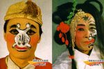 边桃边李 选段
