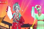 赵美蓉观灯 选段