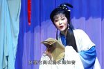 黛玉焚稿下载