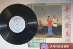 新人骏马 二下载