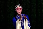 失子惊疯 选段