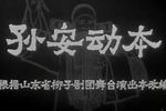 孙安动本下载