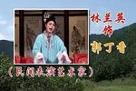 休丁香 全集下载