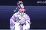 真假牡丹下载