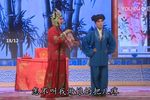 大宋金鸠记