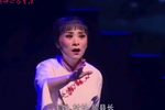 铡刀下的红梅 选段