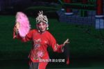 王小打鸟 选段