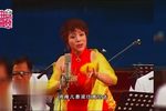 桃花庵下载