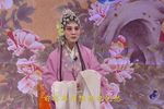 王清明投亲 3下载