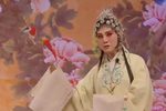 王清明投亲 2下载