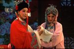 五花马 全集