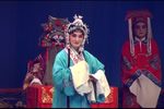 蝴蝶杯 全集下载
