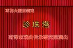 珍珠塔 全集