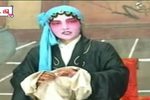 李香莲卖画 全集下载